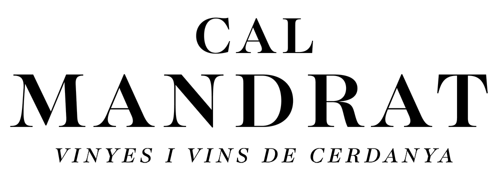 light logo